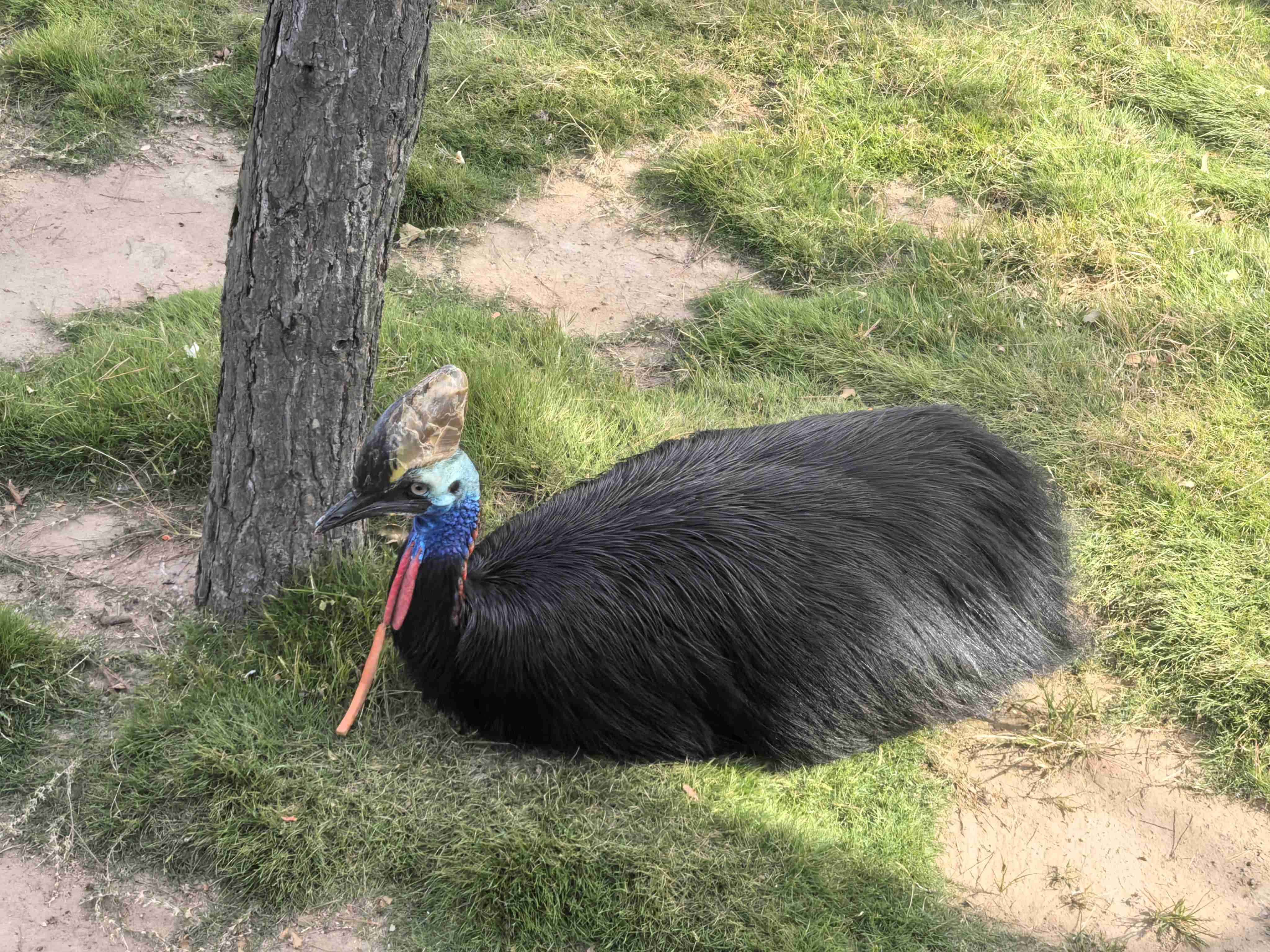 BJLƽ̨(�й���)����